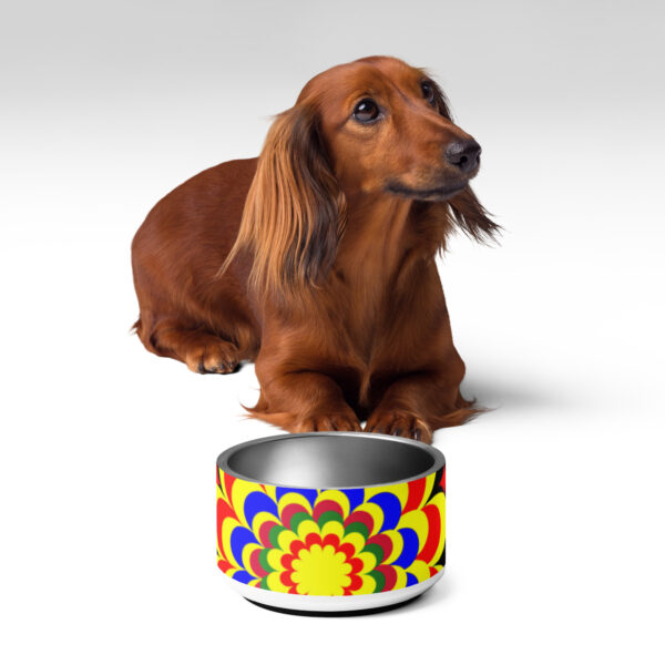 *Original Art Yellow, Red, and Blue Ball and Flowers Pattern Design on Pet Bowl* - Image 11