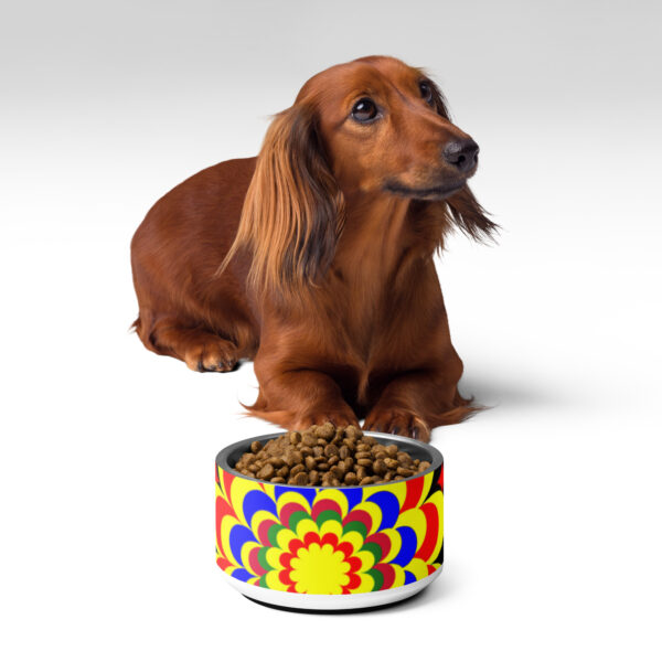 *Original Art Yellow, Red, and Blue Ball and Flowers Pattern Design on Pet Bowl*