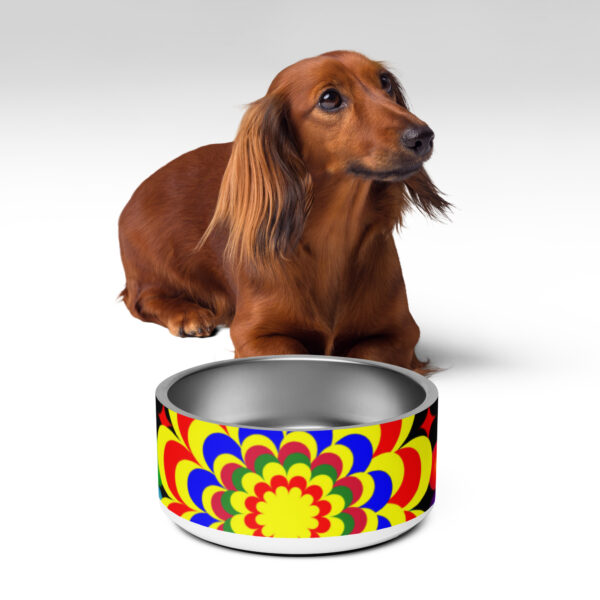 *Original Art Yellow, Red, and Blue Ball and Flowers Pattern Design on Pet Bowl* - Image 13