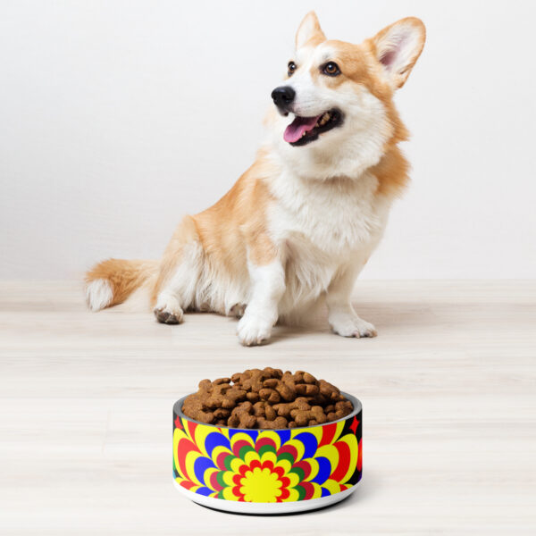 *Original Art Yellow, Red, and Blue Ball and Flowers Pattern Design on Pet Bowl* - Image 3