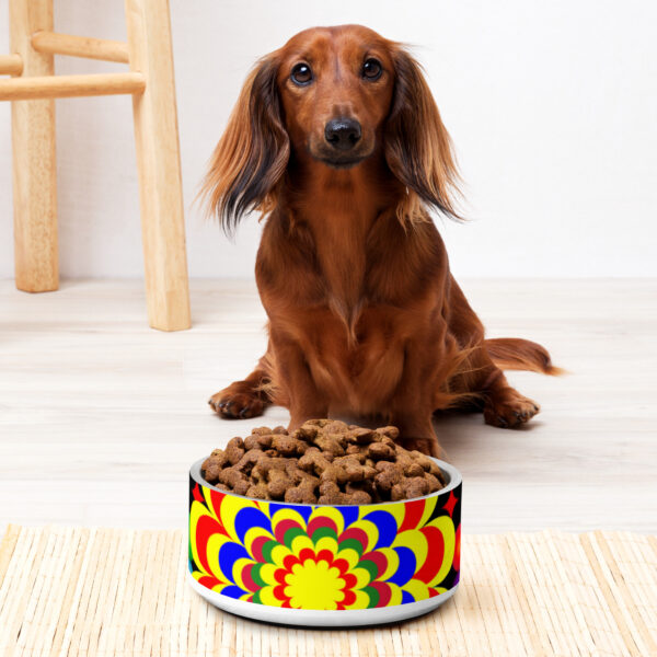 *Original Art Yellow, Red, and Blue Ball and Flowers Pattern Design on Pet Bowl* - Image 6