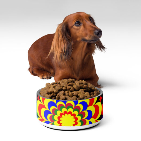 *Original Art Yellow, Red, and Blue Ball and Flowers Pattern Design on Pet Bowl* - Image 12